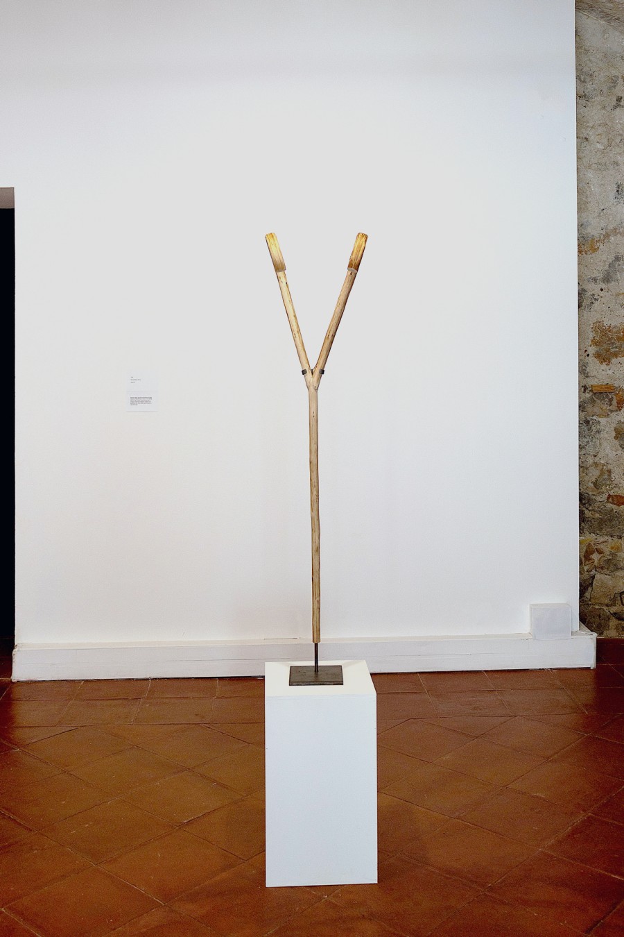 Cares, arestes i altres ambigüitats