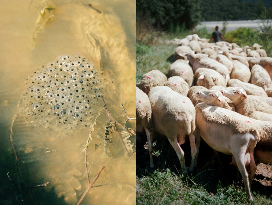 Conversa, Alba Yurela i Lluís Tudela - Festival Brots 2025