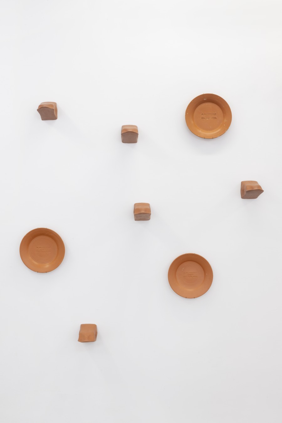 DISSEMINAR L'ÚLTIMA TERRA