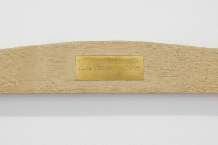 DISSEMINAR L'ÚLTIMA TERRA