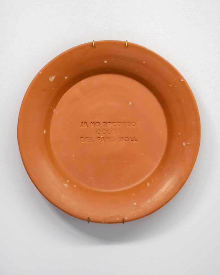 DISSEMINAR L'ÚLTIMA TERRA