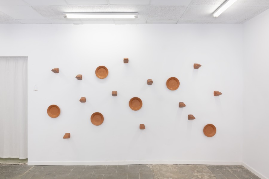 DISSEMINAR L'ÚLTIMA TERRA